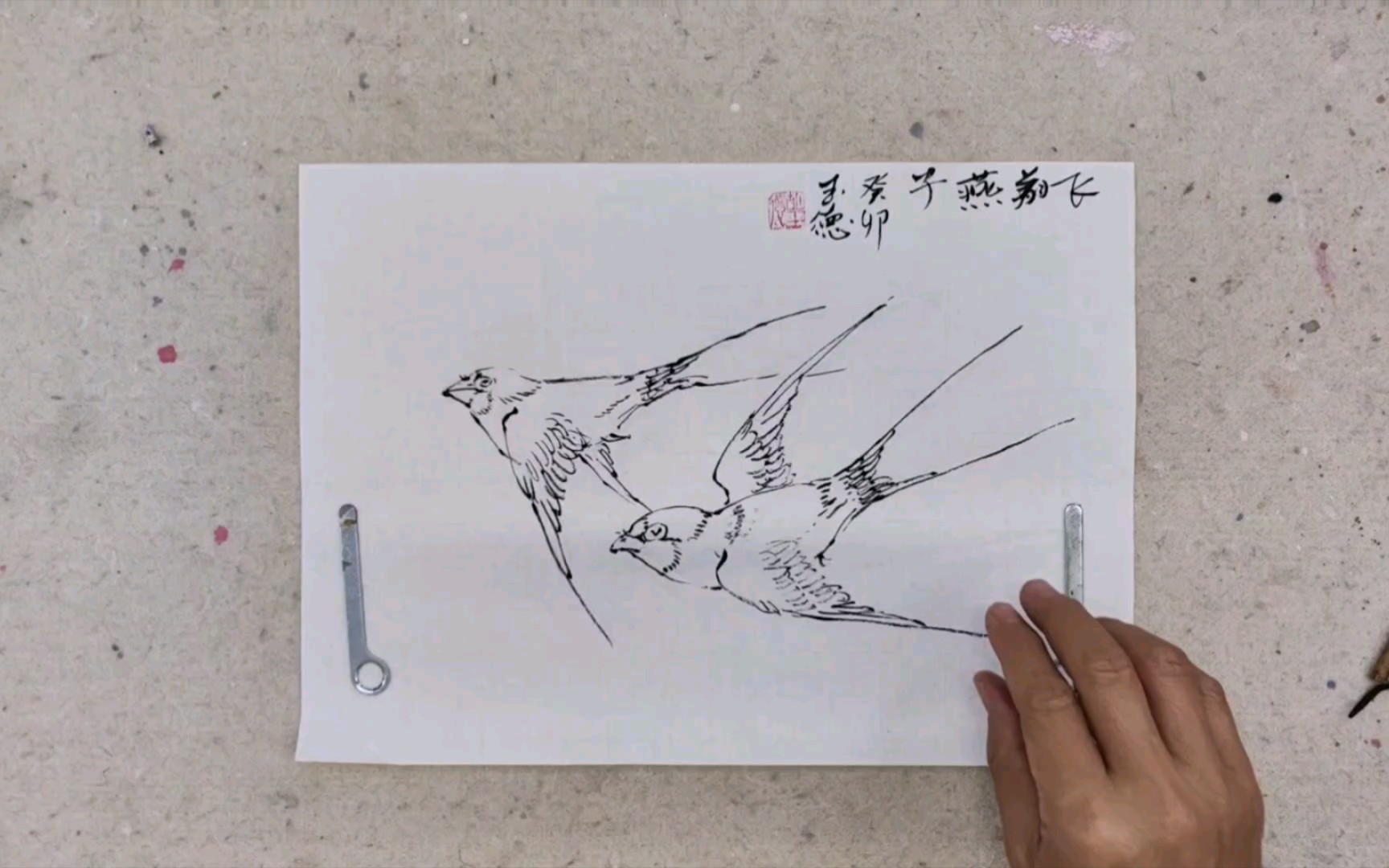 飞翔燕子白描稿