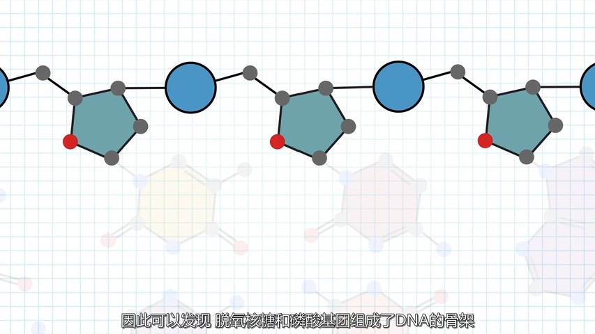 DNA结构哔哩哔哩bilibili
