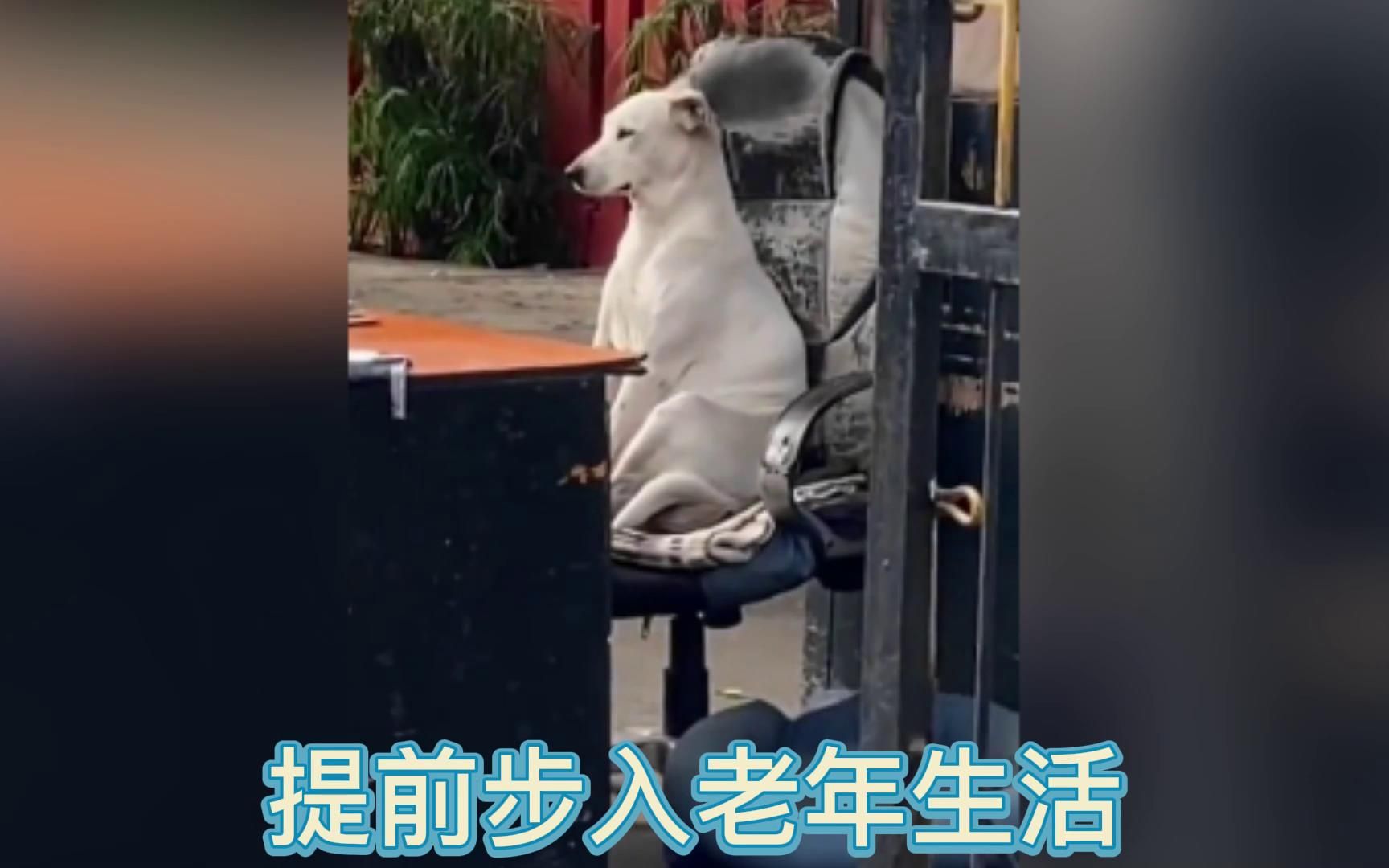 提前步入老年生活