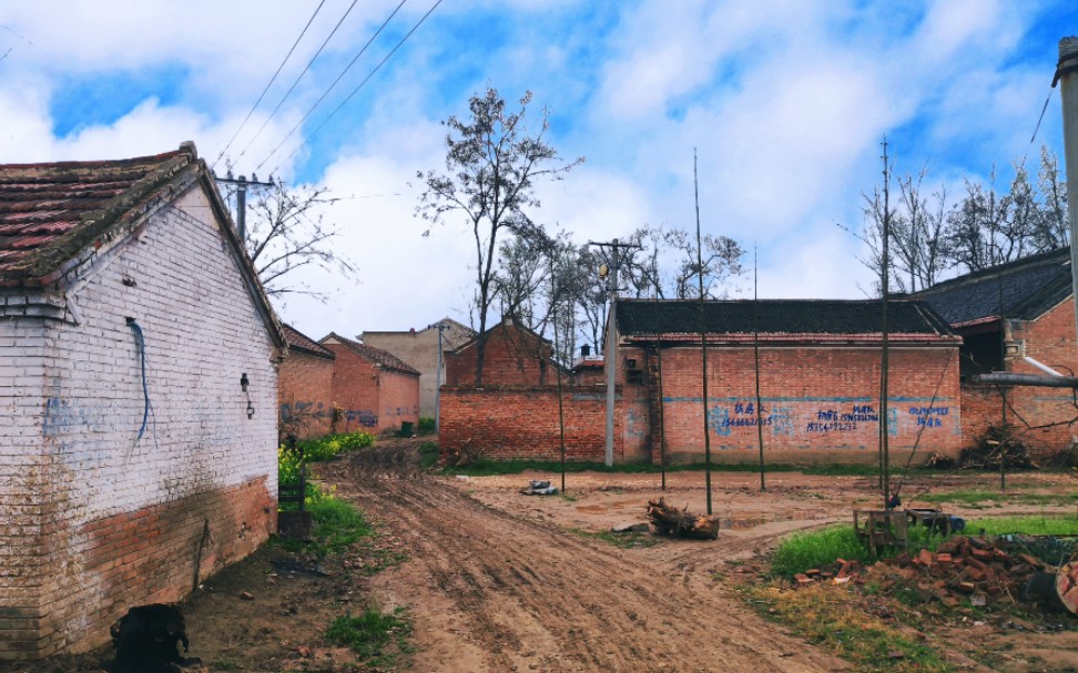这是我老家的村庄,虽然有3层高的楼房,但在我们商丘不算很富裕