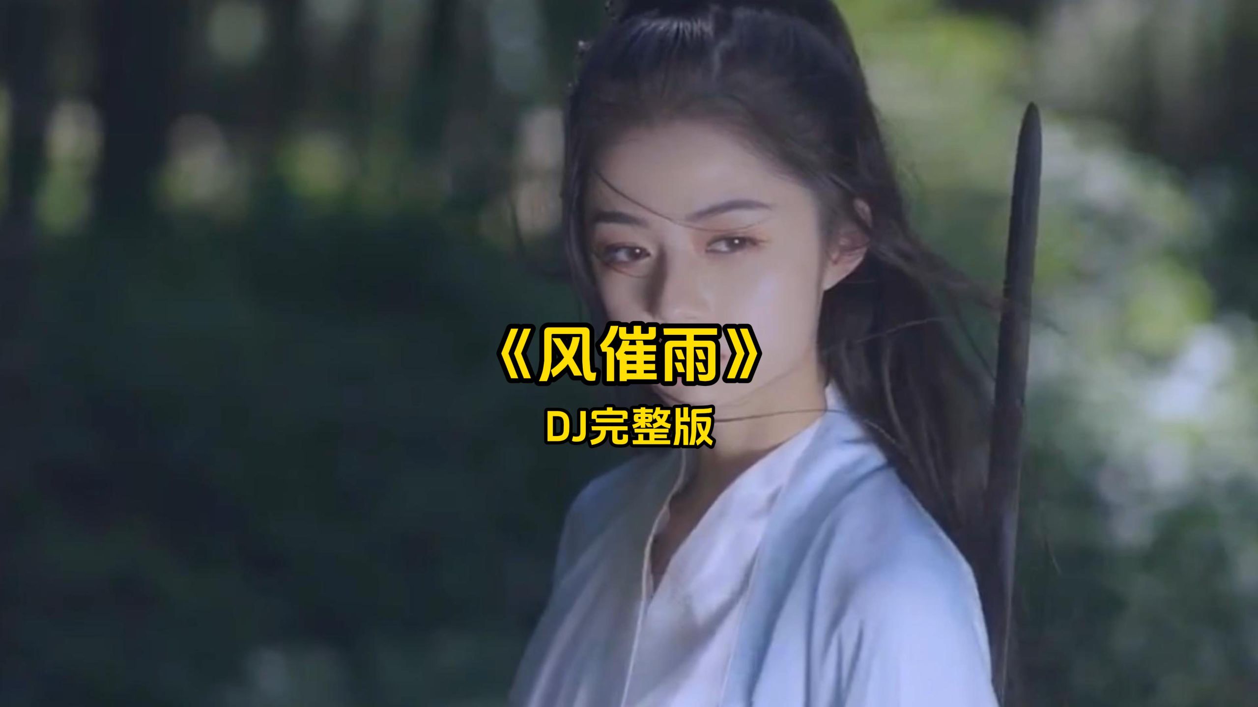 《风催雨》DJ完整版