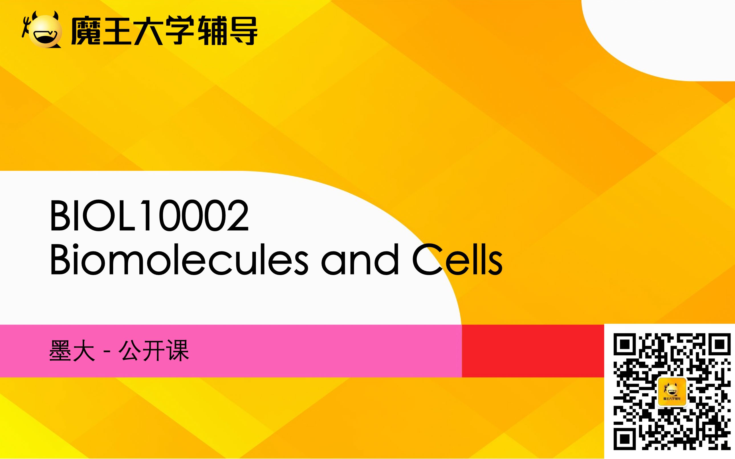 BIOL10002Biomolecules and Cells22S1公开课回顾魔王大学辅导哔哩哔哩bilibili