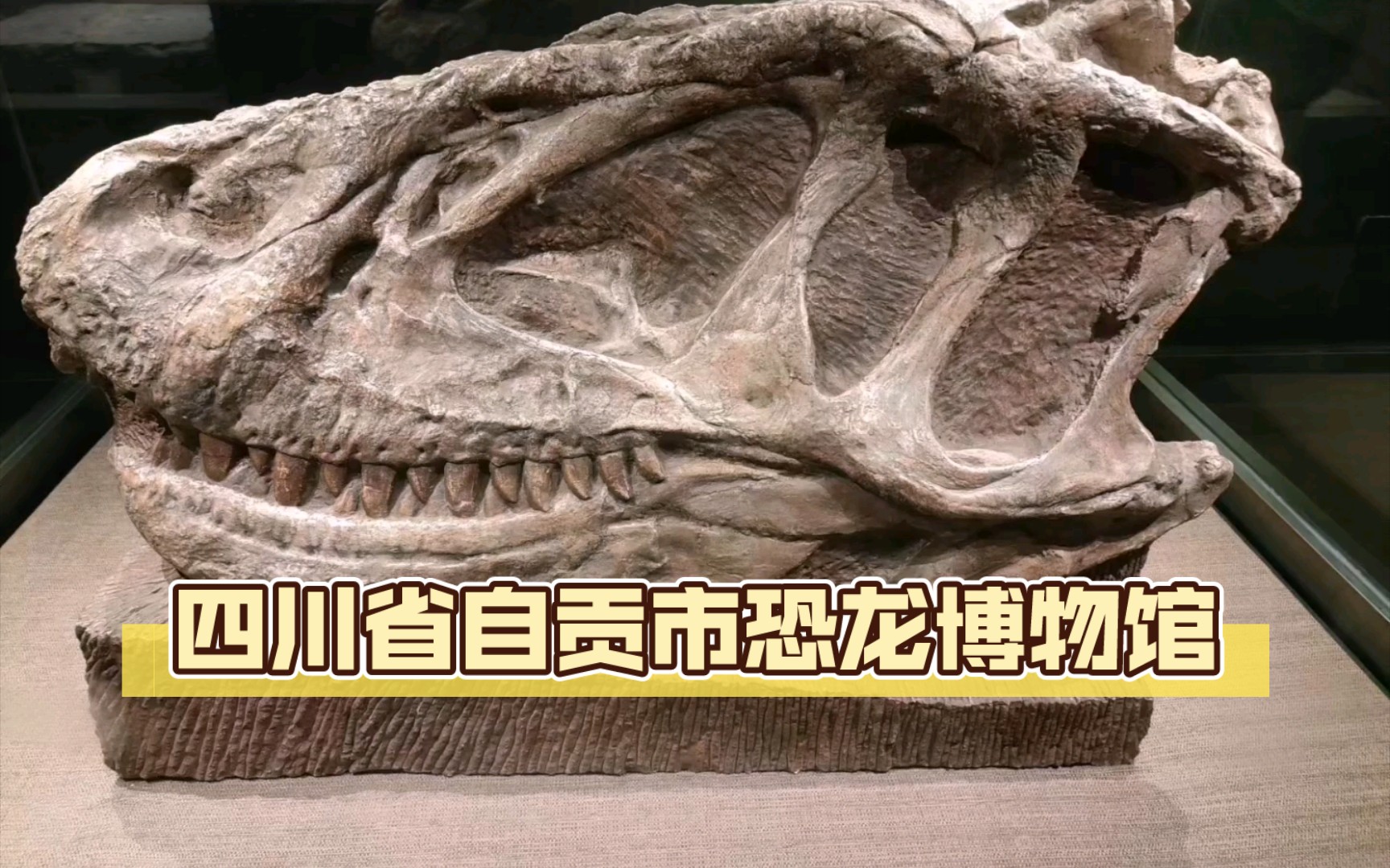 四川省自贡市恐龙博物馆
