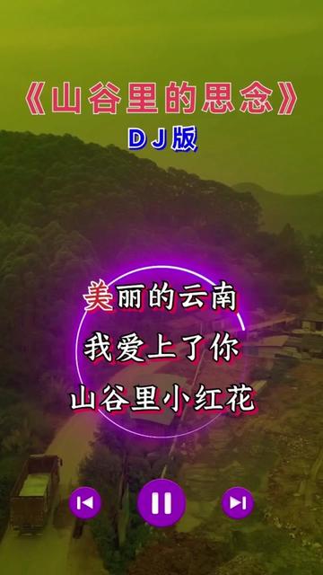 [图]《山谷里的思念》 Dj版！歌曲陪你走过千山万水 ！