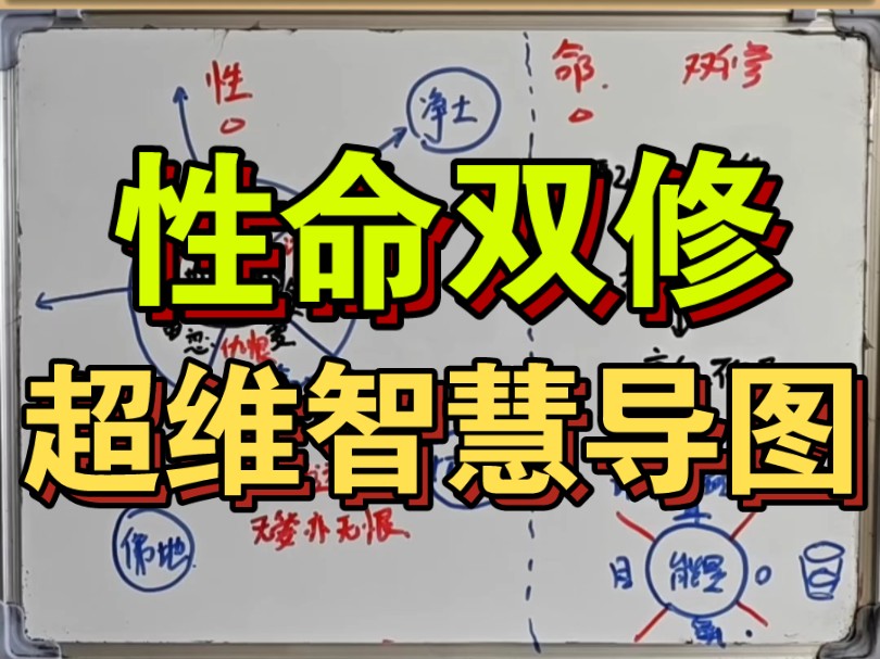 性命双修核心觉醒理念,修命创造美好人生,性修远离烦恼焦虑.身心灵超维觉醒智慧哔哩哔哩bilibili