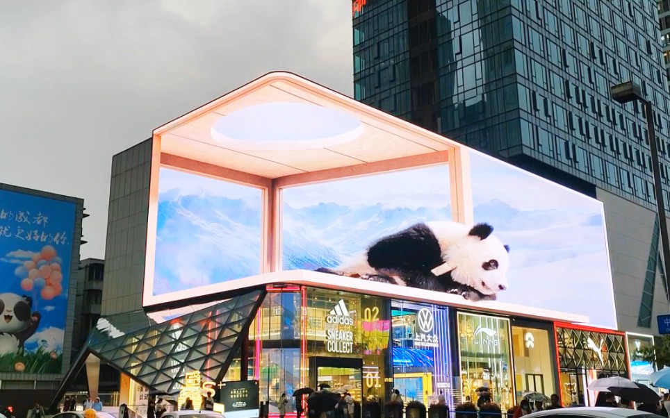 来到成都想看熊猫,去太古里看免费的3d熊猫