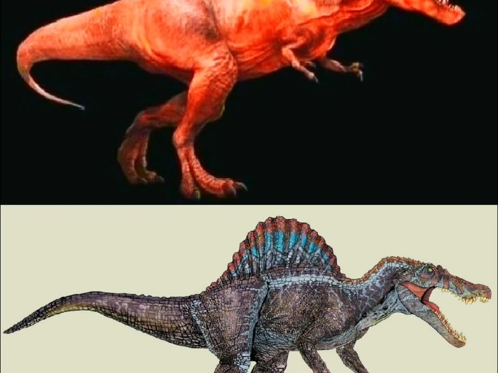 侏罗纪系列恐龙cp01(霸王龙rexy和战神棘龙)