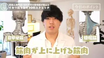 美容整体師川島さん 哔哩哔哩 Bilibili 美容整体師川島さん 哔哩哔哩 Bilibili