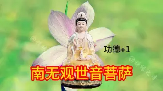 Descargar video: 17分钟《南无观世音菩萨》早晚听一听，让人心境沉稳，缓解焦虑