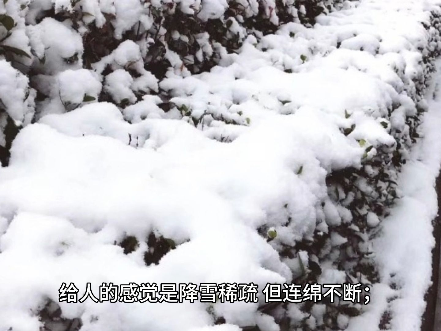 “鹅毛大雪”才是暴雪?哔哩哔哩bilibili