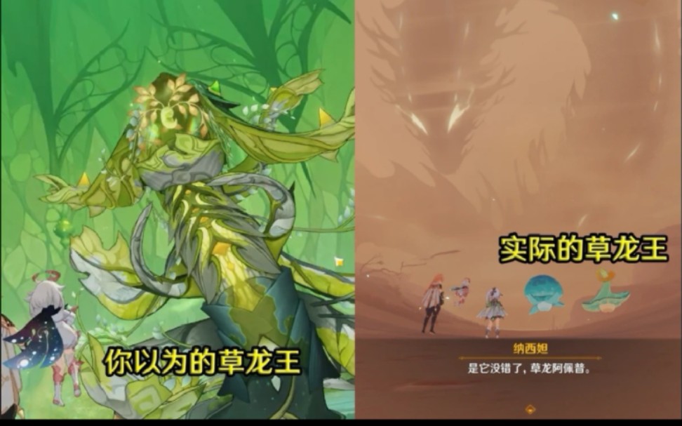 重申一下!这才是草龙王【阿佩普】