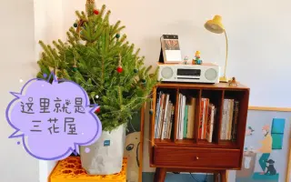 樱桃乳酪蛋糕 搜索结果 哔哩哔哩 Bilibili