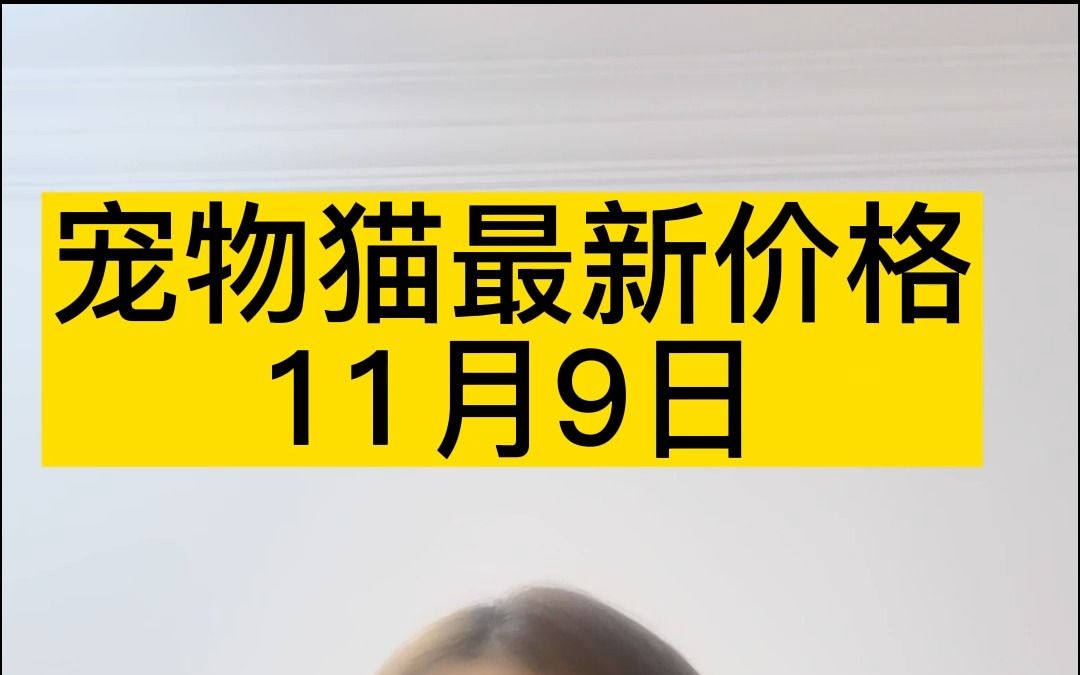 【11月9日】宠物猫多少钱一只,最新市场价格!蓝白/布偶猫/蓝金/矮脚价格哔哩哔哩bilibili