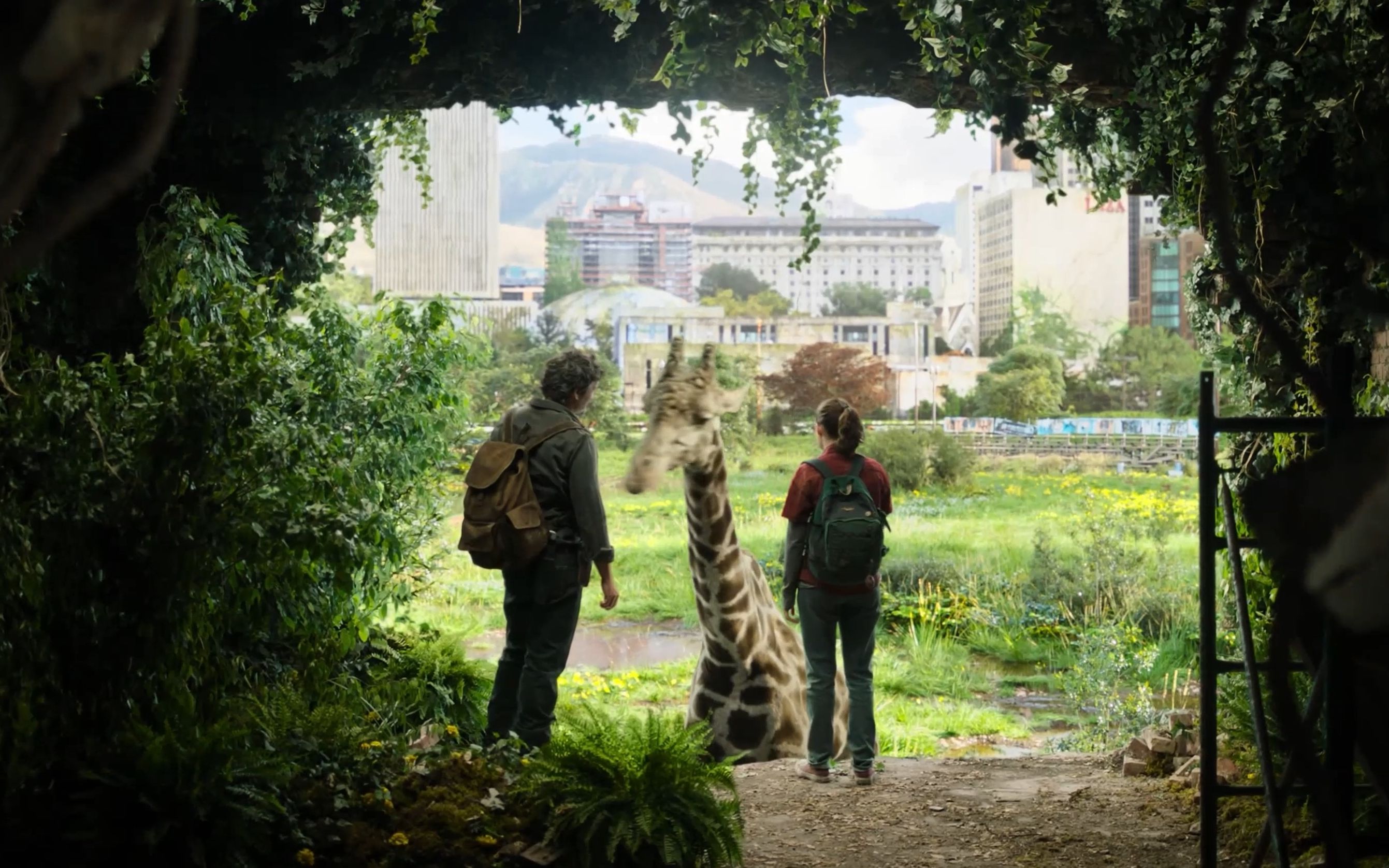 【电影摄影】最后生还者the last of us画面赏析