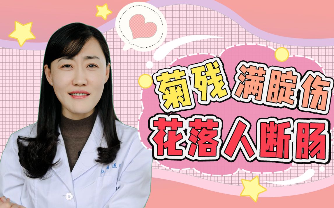 迎来一朵天花板级别“残菊”,菊姐姐有把握吗?哔哩哔哩bilibili