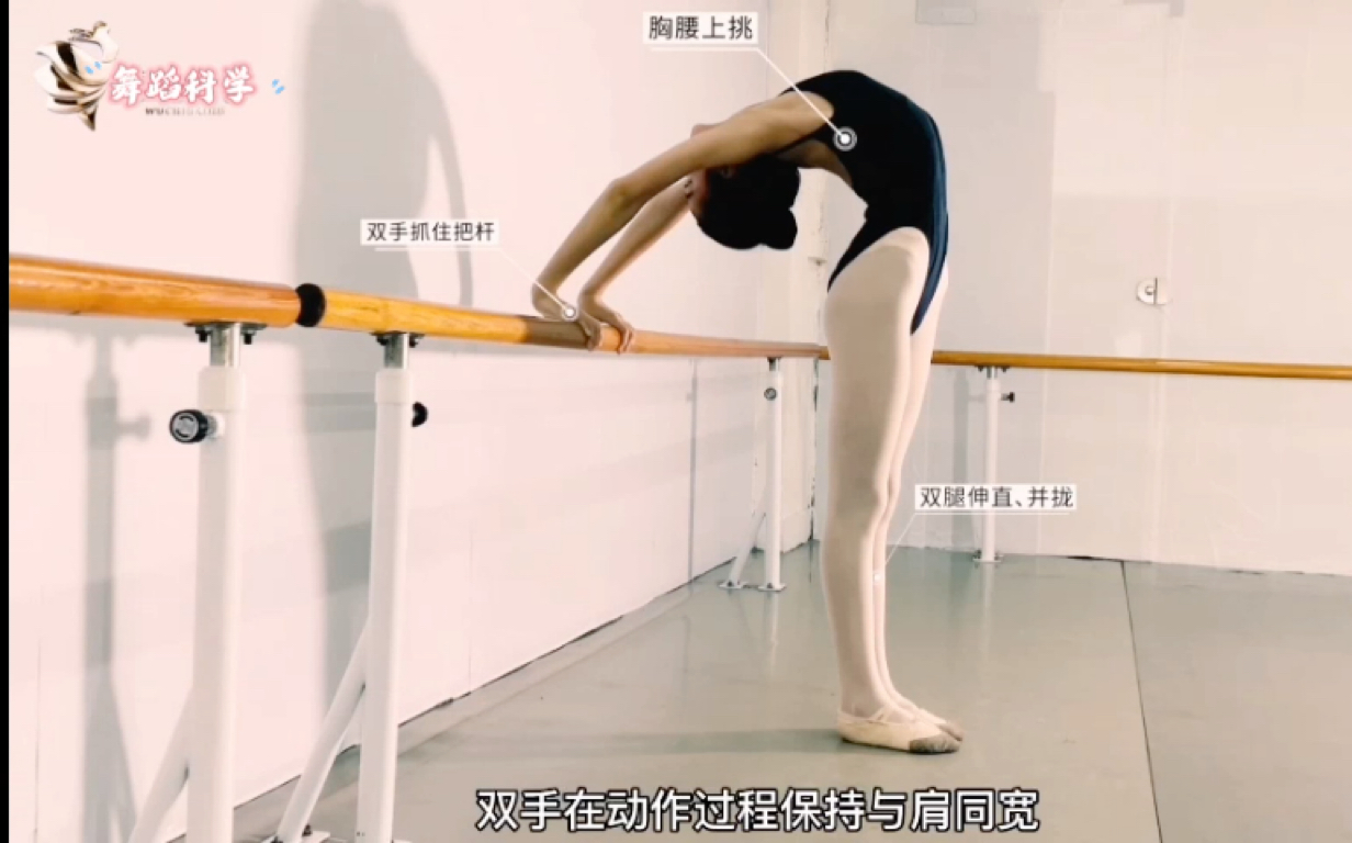 活动作品胸腰高级别舞蹈基本功科学训练