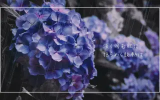 紫陽花の詩 搜索结果 哔哩哔哩 Bilibili