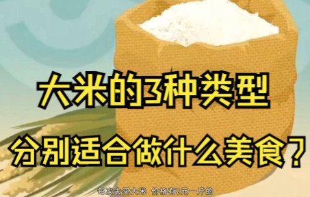 大米的3种类型都是什么?都适合制作哪些美食?哔哩哔哩bilibili