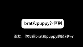 Download Video: 小众圈子：brat和puppy的区别