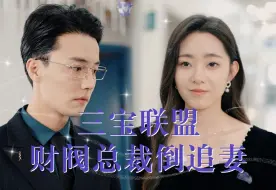 Download Video: 三宝联盟：财阀总裁倒追妻56