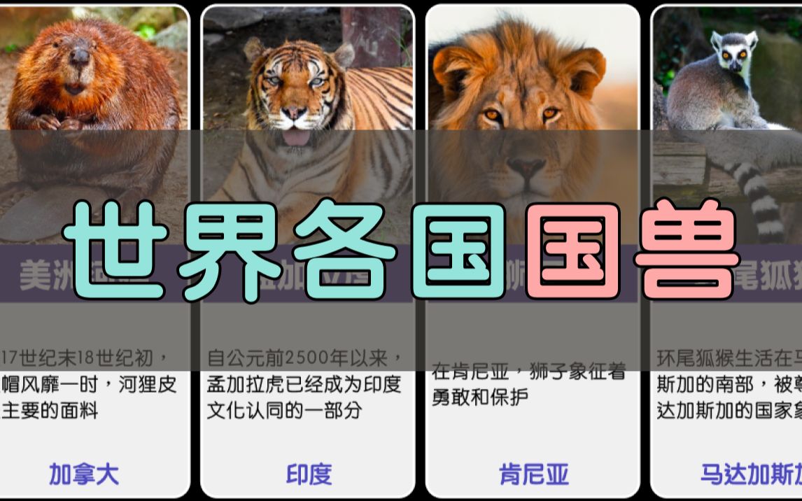 世界各国国兽,羊驼也是