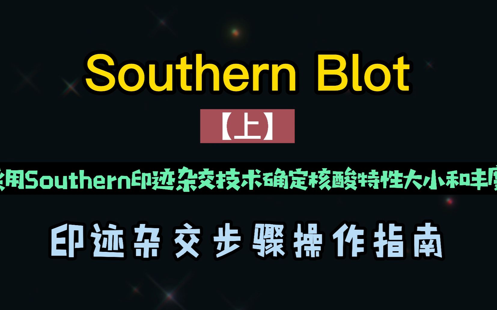 [图]采用Southern印迹杂交是如何进行基因组DNA特定序列定位的？以及操作流程！