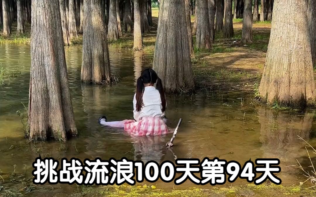 [图]挑战流浪100天第94天 自制扇子