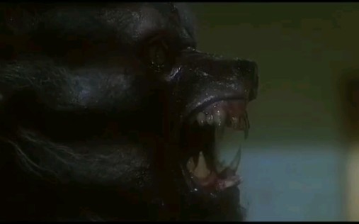 破胆三次/The Howling(1981)哔哩哔哩bilibili