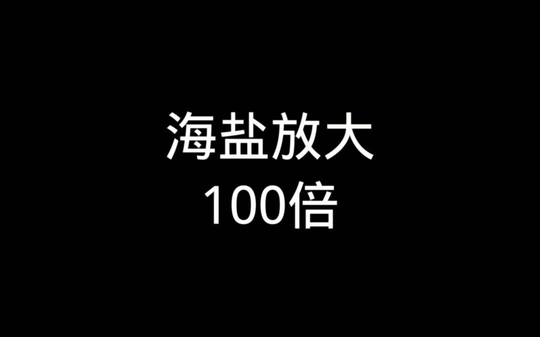 显微镜下将海盐放大100倍看看是什么样子?哔哩哔哩bilibili