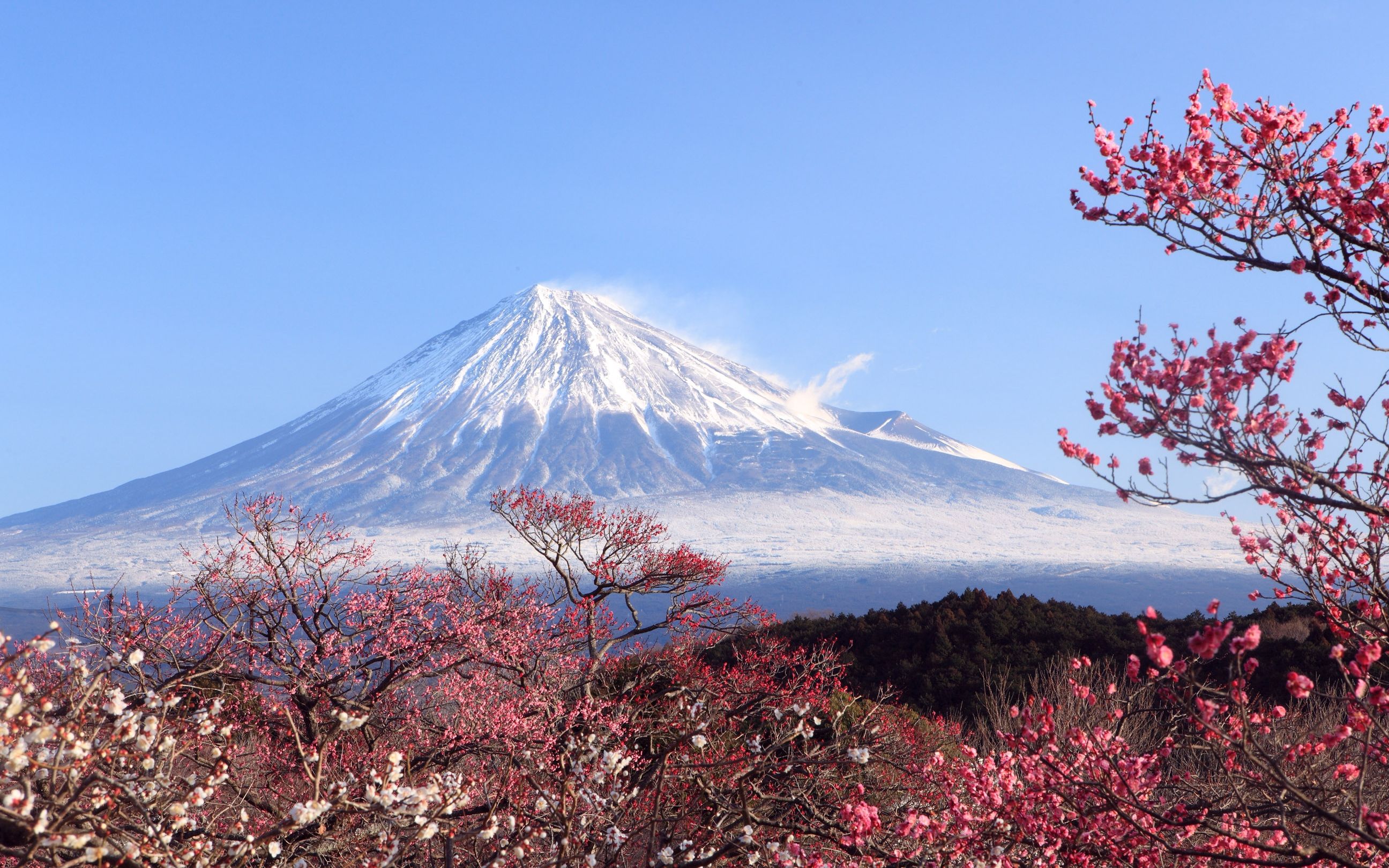 日本风景壁纸 1080图片