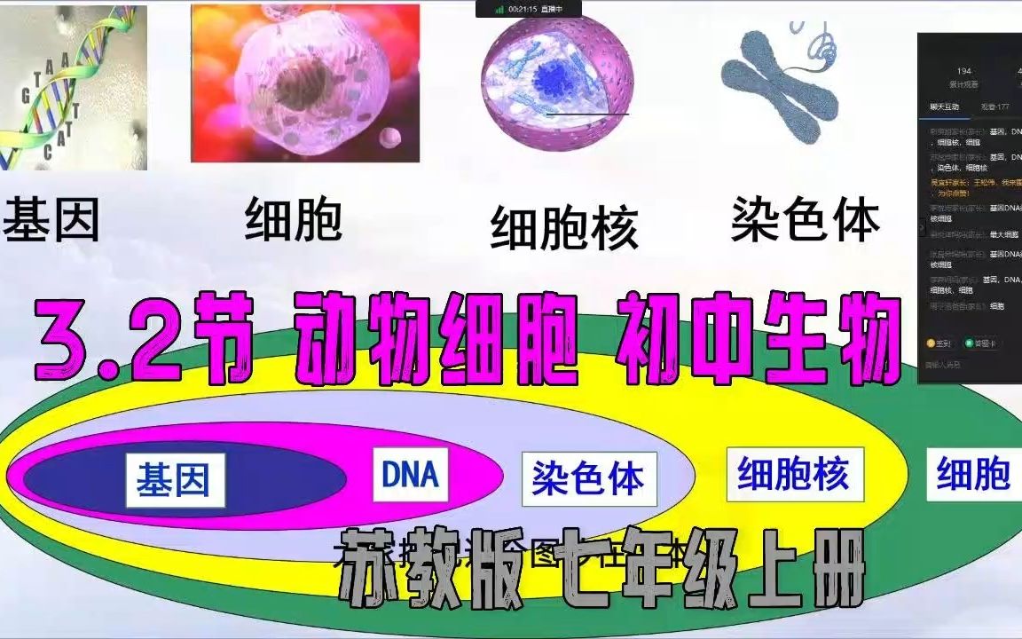 3.2节 人和动物细胞的结构和功能 七年级上册 初中生物苏教版哔哩哔哩bilibili