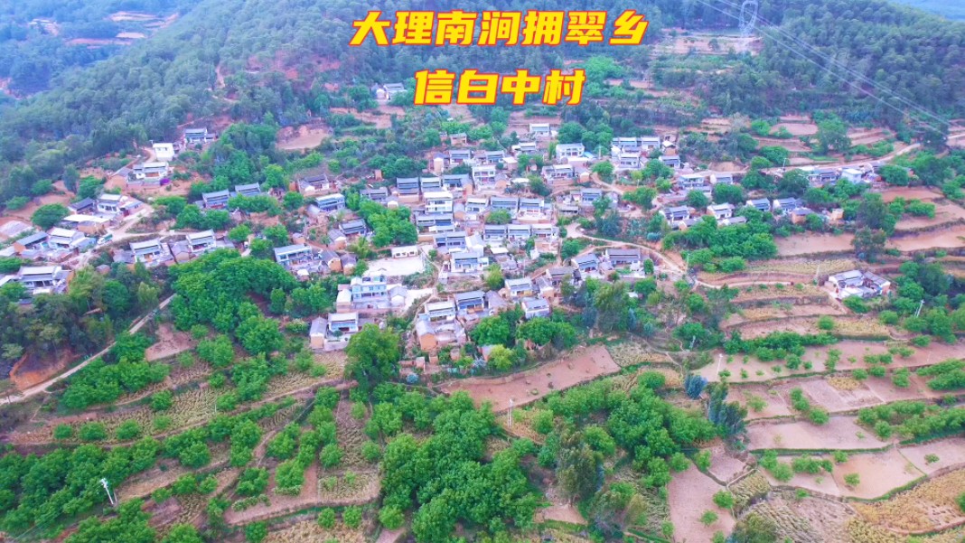 大理南涧拥翠乡信白中村
