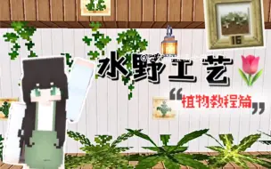 Download Video: 我的世界手机版！！水野工艺植物操作教程～