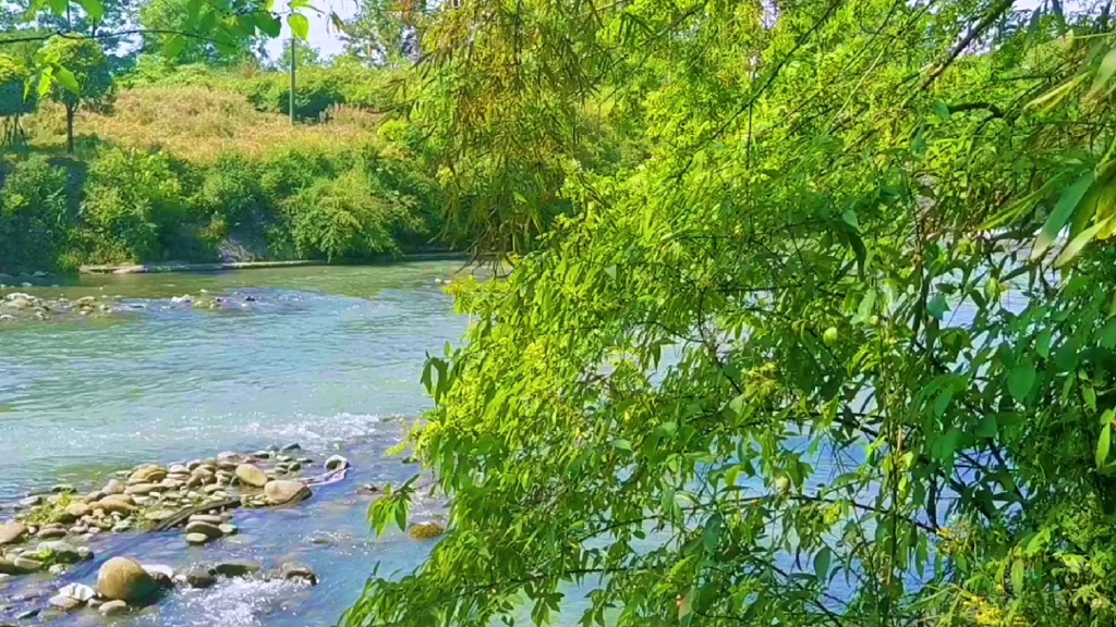 [图]不管什么角度看你，都是那么美丽！让我沉醉