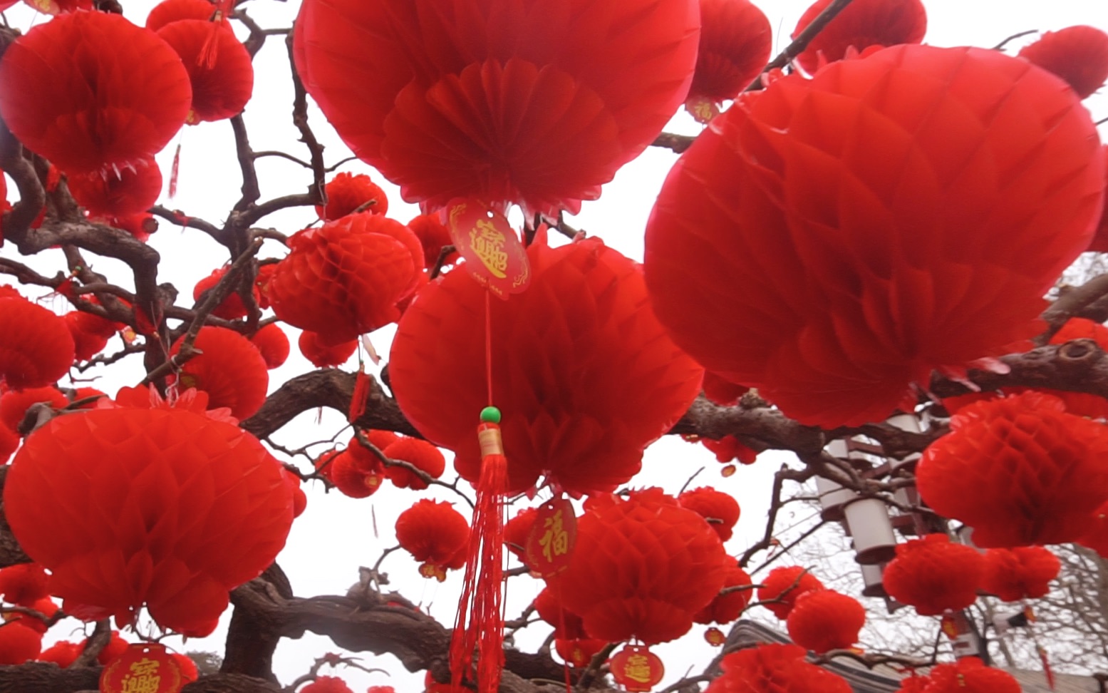 [图]正月初二的北京地坛庙会居然飘起了雪花，虽然就几分钟