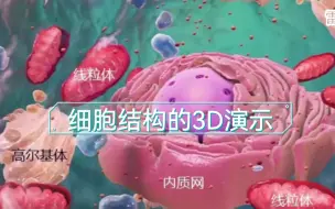 下载视频: 【高中生物学必修1】细胞的结构和功能