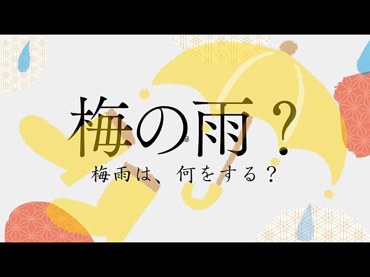 [图]梅雨は、どうして梅の雨と書くの？Miruは、梅雨に何をする？