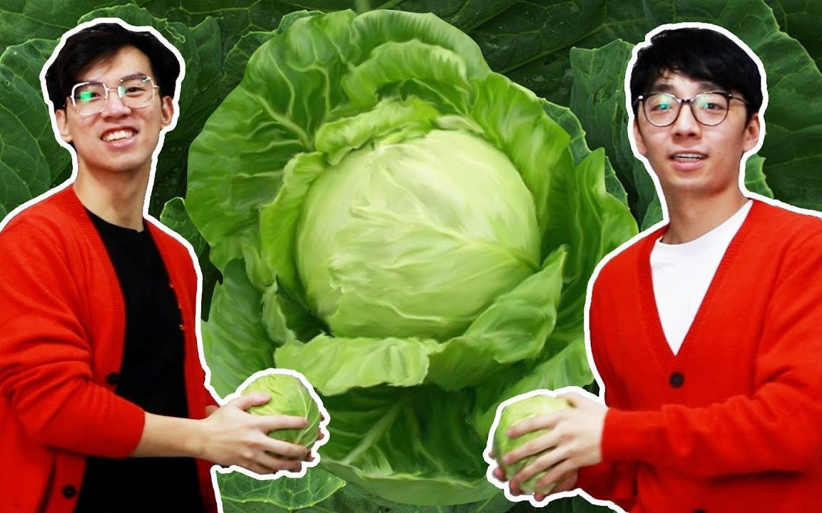 Cabbage 卷心菜哔哩哔哩bilibili