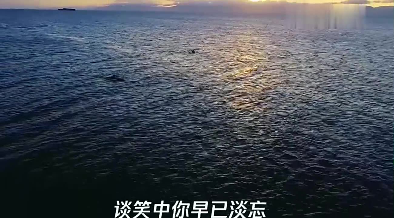 宜阳县那些地方玩的多?哔哩哔哩bilibili