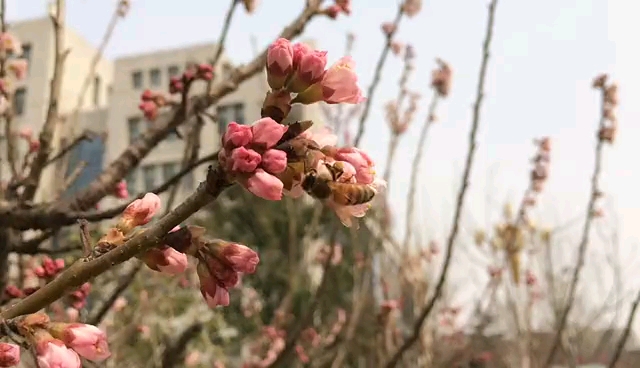 [图]阳光正好，微风不燥。