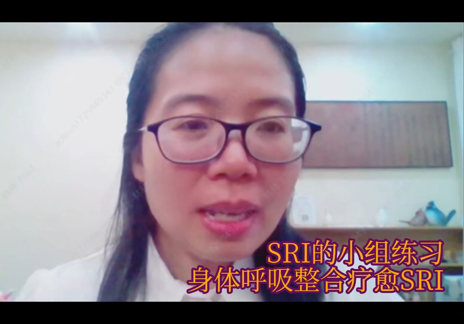 SRI的小组练习身体呼吸整合疗愈SRI哔哩哔哩bilibili