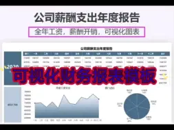 Download Video: 真不愧是普华永道的财务报表，内设公式，自动计算自动生成可视化数据分析图表，套用即可