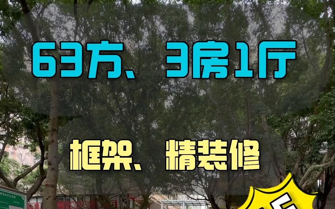 广州番禺市桥好房哔哩哔哩bilibili