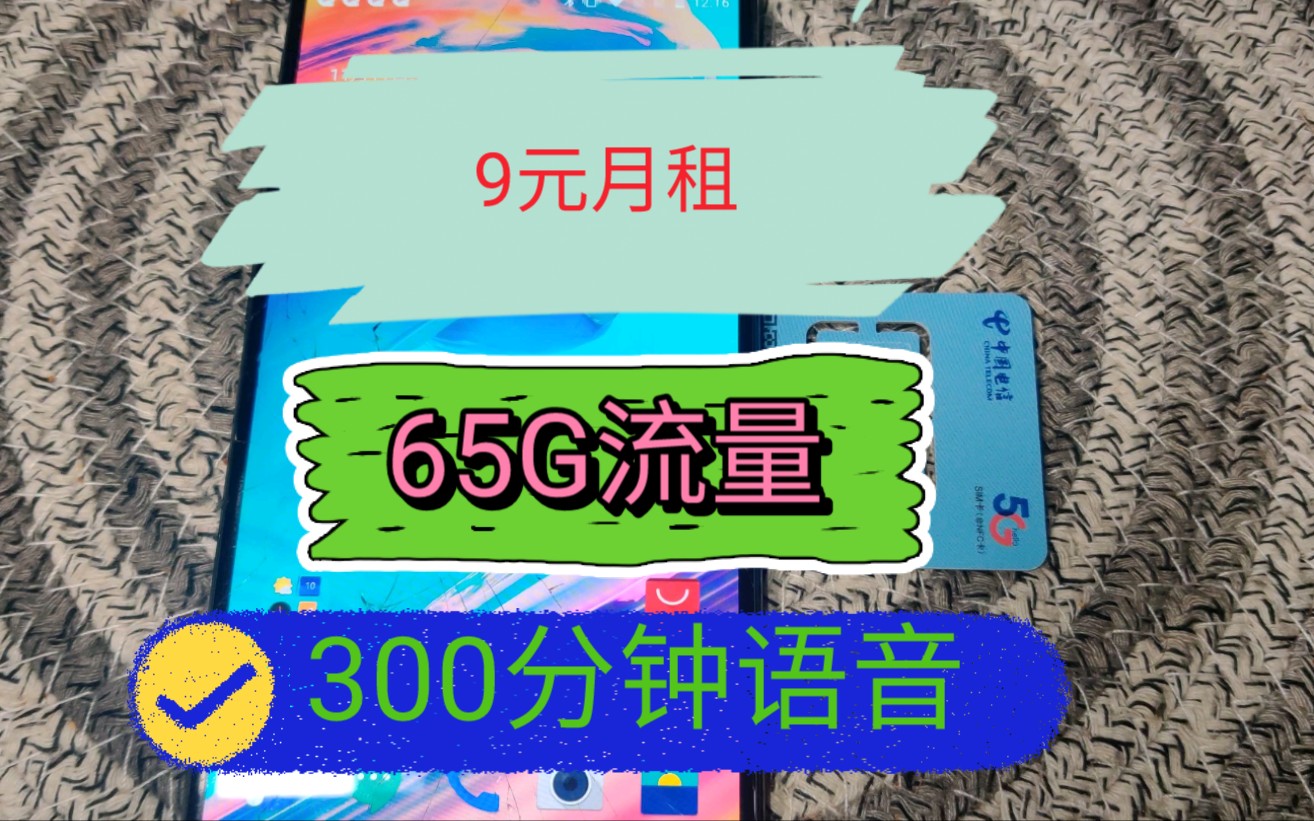 电信9元月租65G流量+300分钟语音副卡学生党必备,一年月租仅需百元!哔哩哔哩bilibili