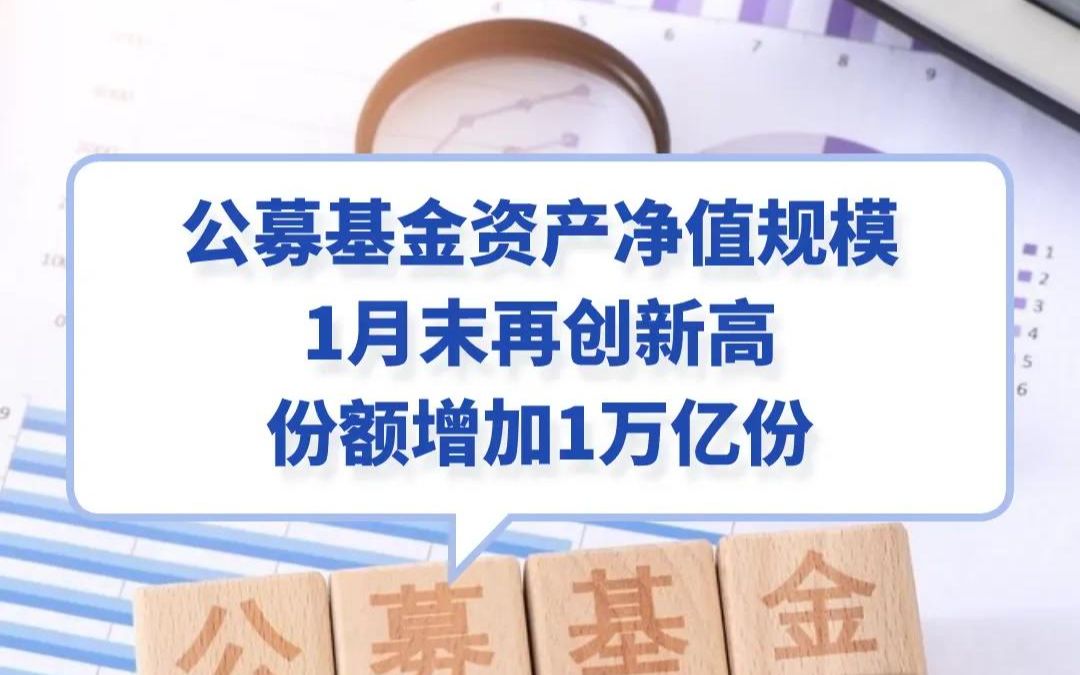 公募基金资产净值规模1月末再创新高,份额增加1万亿份哔哩哔哩bilibili