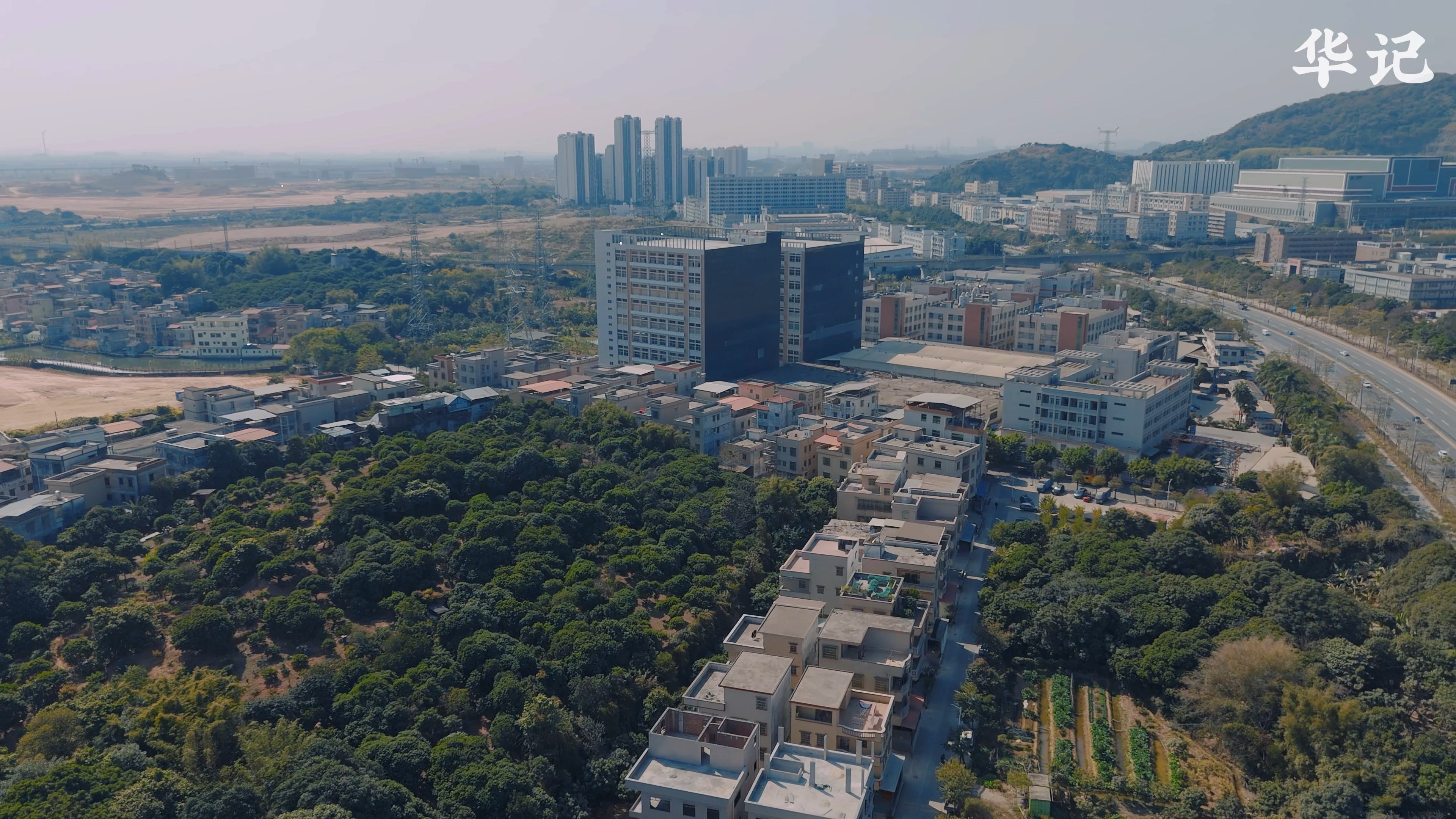 广州市增城区仙村镇沙滘村,乡村风景