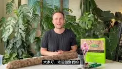 下载视频: 【机翻】悉尼哥 水苔柱的教程实操完整版