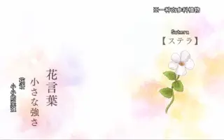 妮珐 搜索结果 哔哩哔哩 Bilibili