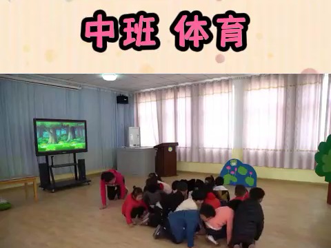 幼师课件必备幼儿园教案幼儿园公开课 中班体育 小动物找家哔哩哔哩bilibili