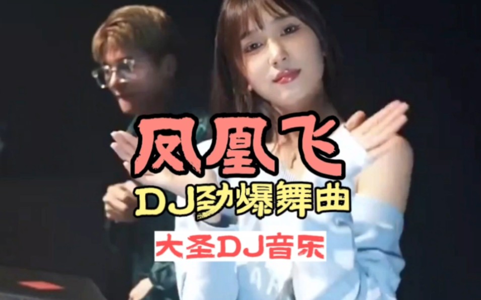 [图]DJ音乐:第145集:凤凰飞DJ劲爆舞曲:全网热播DJ:中文劲爆舞曲:车载必听音乐:经典劲爆名曲:小姐姐蹦迪